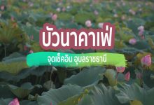[Review] ร้านคาเฟ่ บัวนาคาเฟ่ ณ อุบลราชธานี