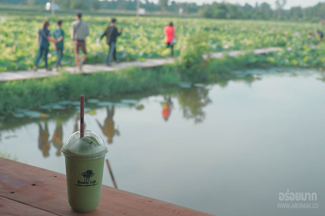 [Review] ร้านคาเฟ่ บัวนาคาเฟ่ ณ อุบลราชธานี