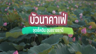 [Review] ร้านคาเฟ่ บัวนาคาเฟ่ ณ อุบลราชธานี