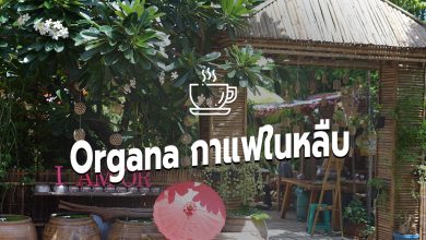 [Review] ร้านคาเฟ่ Organa กาแฟในหลืบ ณ มหาสารคาม