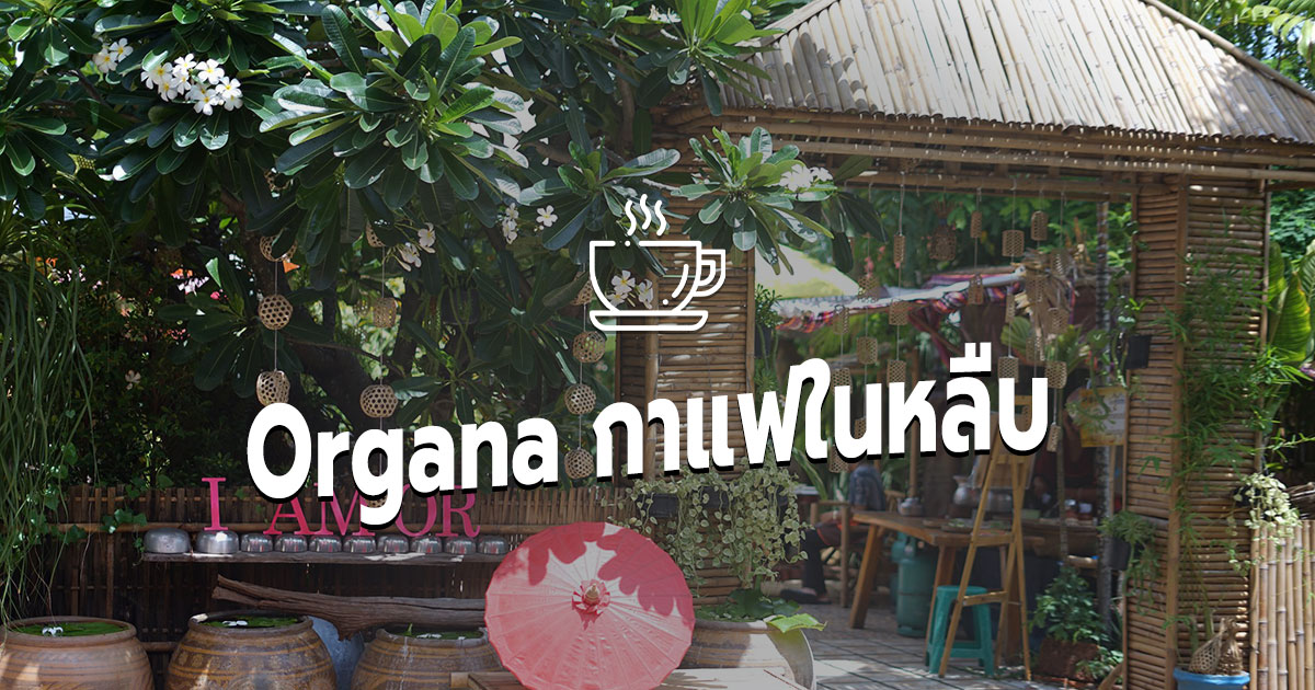 [Review] ร้านคาเฟ่ Organa กาแฟในหลืบ ณ มหาสารคาม