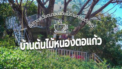 [Review] ร้านคาเฟ่ บ้านต้นไม้หนองตอแก้ว ณ อุบลฯ