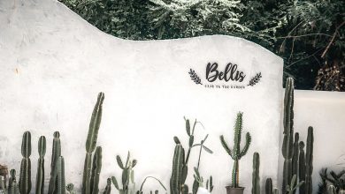 Bellis Cafe in the Garden ณ อุบลราชธานี