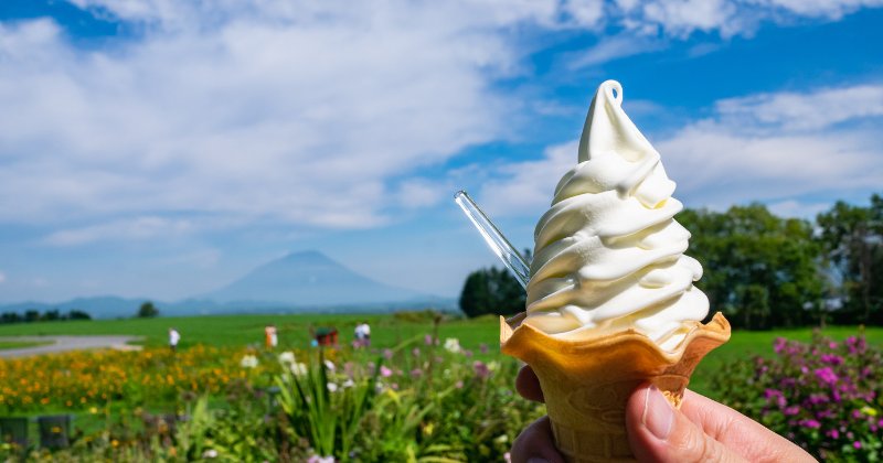 นมฮอกไกโด (Hokkaido Milk)