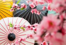 #68 12 ข้อเท็จจริงเกี่ยวกับวัฒนธรรมญี่ปุ่นที่น่าสนใจ