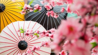 12 ข้อเท็จจริงเกี่ยวกับวัฒนธรรมญี่ปุ่นที่น่าสนใจ