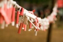 โอมิคุจิ (Omikuji): ประเพณีการทำนายของญี่ปุ่นโบราณ