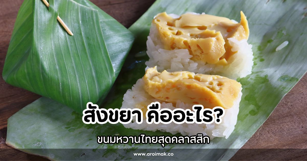 สังขยา ขนมหวานไทยสุดคลาสสิก ประวัติ ความหมาย และวิธีทำ #4 สังขยา ขนมหวานไทยสุดคลาสสิก ประวัติ ความหมาย และวิธีทำ