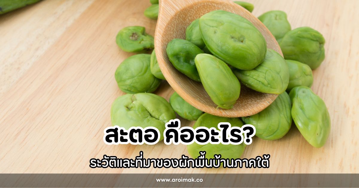 สะตอ คืออะไร? ประวัติและที่มาของผักพื้นบ้านภาคใต้