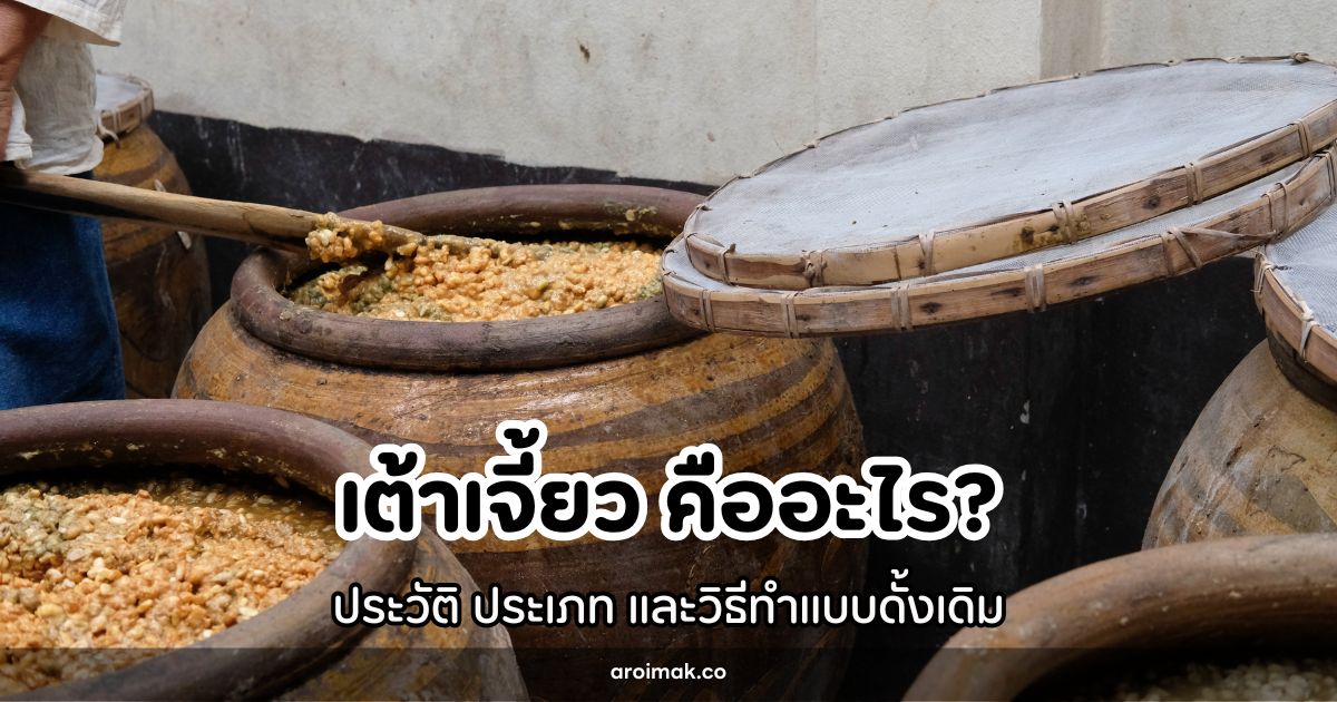 เต้าเจี้ยว คืออะไร? ประวัติ ประเภท และวิธีทำแบบดั้งเดิม #22 เต้าเจี้ยว คืออะไร? ประวัติ ประเภท และวิธีทำแบบดั้งเดิม