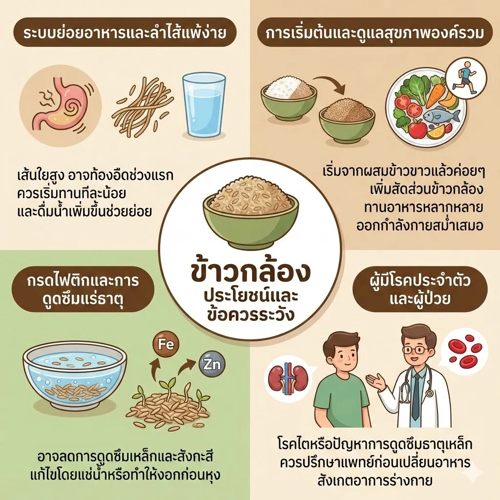 ข้อควรระวังและคำแนะนำในข้าวกล้อง #4 ข้อควรระวังและคำแนะนำในข้าวกล้อง