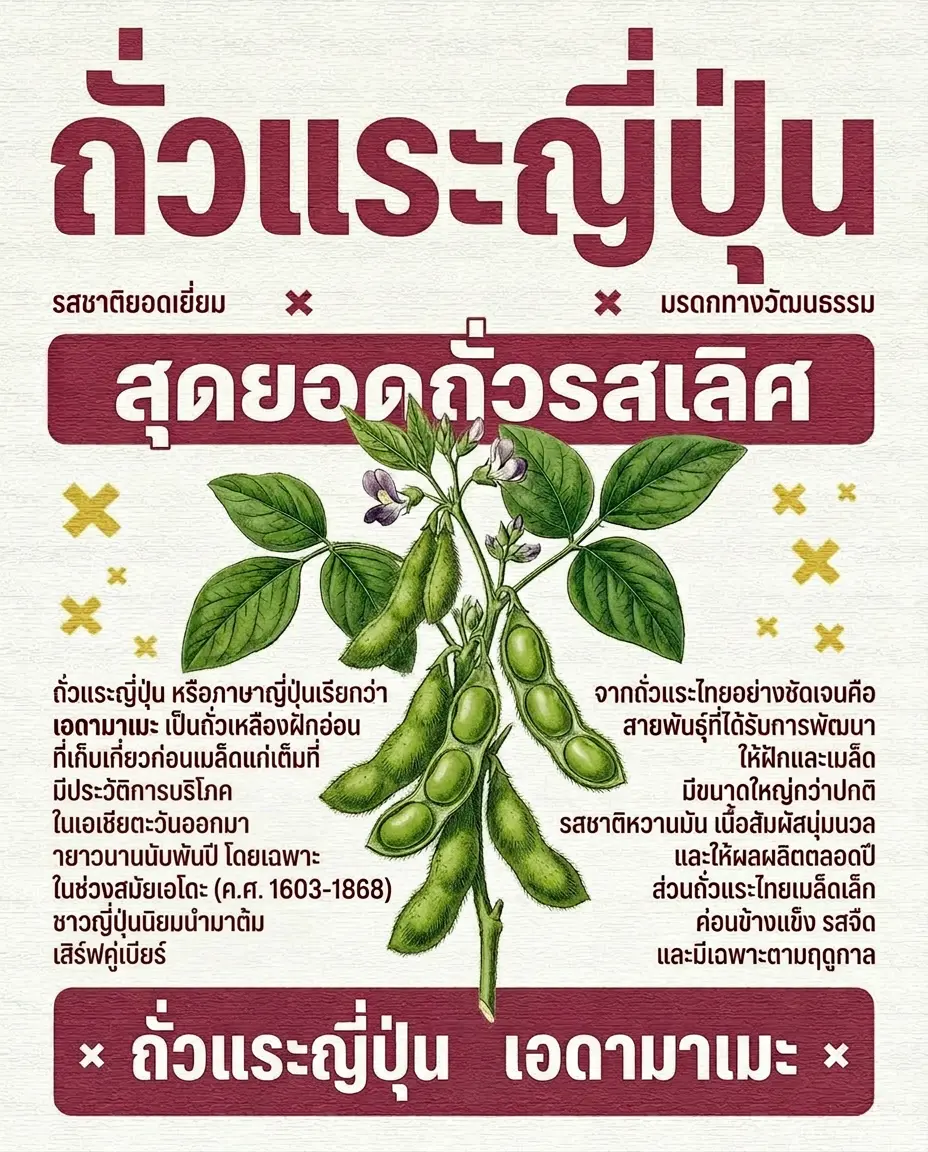 ถั่วแระญี่ปุ่น คืออะไร? ทำไมถึงต่างจากถั่วแระไทย