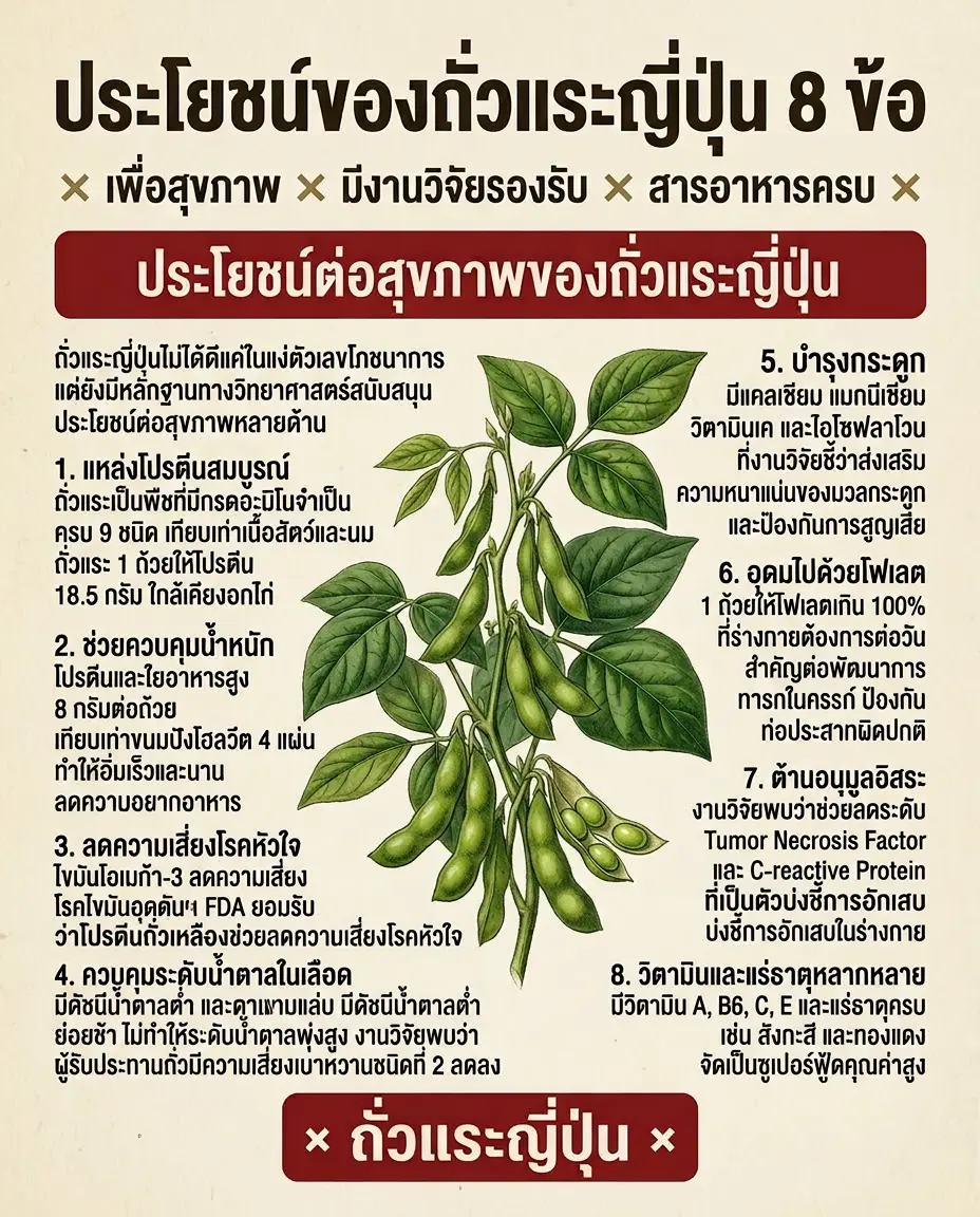 ประโยชน์ของถั่วแระญี่ปุ่น 8 ข้อ ที่มีงานวิจัยรองรับ