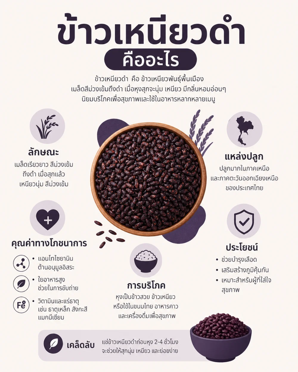 #2 ข้าวเหนียวดำ คืออะไร