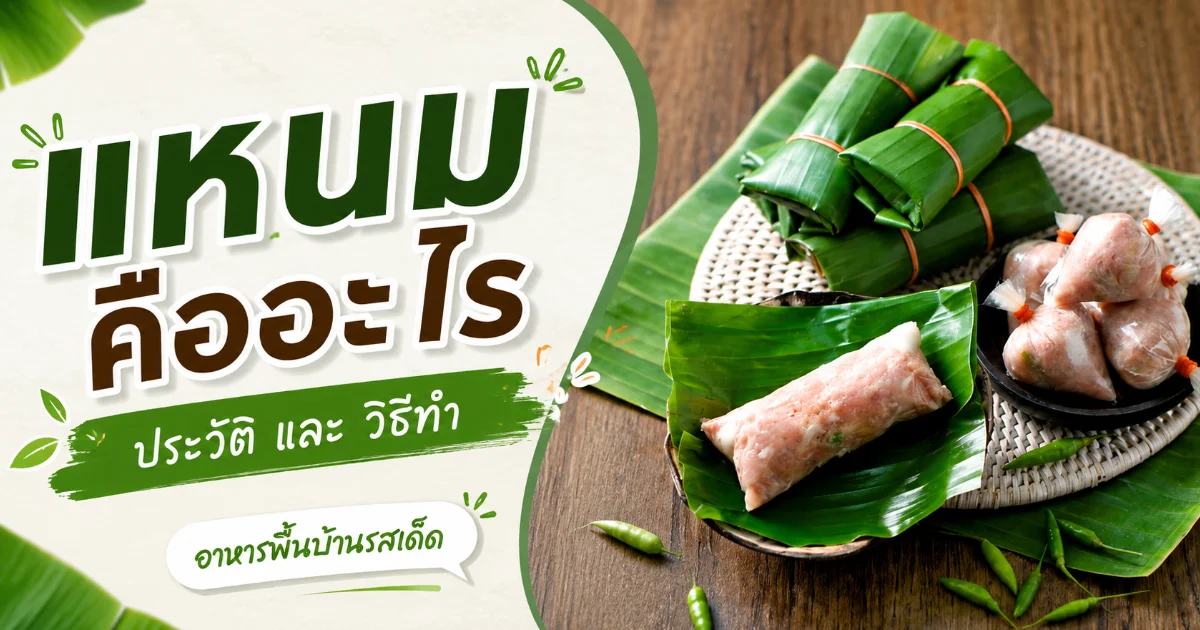 แหนม คืออะไร? ประวัติ วิธีทำ และข้อมูลโภชนาการที่ควรรู้