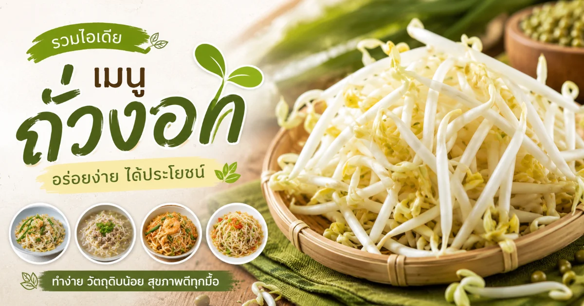 20 เมนูถั่วงอกทำเองที่บ้าน อร่อยครบทั้งผัด ยำ ต้ม และทอด